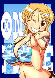 nami (one piece) from one piece