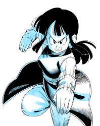 chi-chi (dragon ball) from dragon ball
