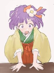 hieda no akyuu from touhou by motsuni (artist)
