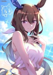 admire vega (umamusume) from umamusume