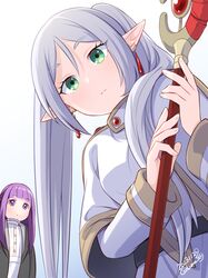 fern (sousou no frieren) from sousou no frieren