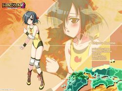 hoshino chiyoru from wrestle angels