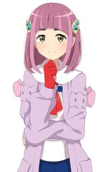 lacey (pokemon) from pokemon