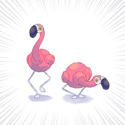 flamigo from pokemon