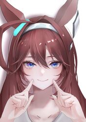 mihono bourbon (umamusume) from umamusume