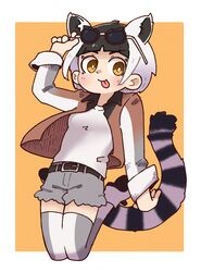 ring-tailed lemur (kemono friends) from kemono friends by sorairo meronpan