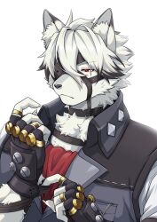 von lycaon from zenless zone zero by ioenami