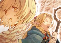 falin touden from dungeon meshi by elan ouo