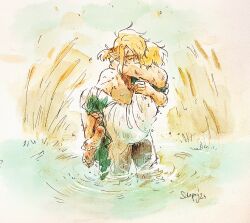 link from the legend of zelda