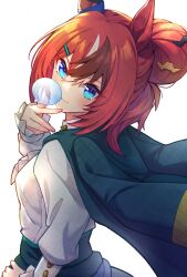 umamusume fan art