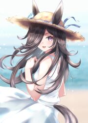 rice shower (umamusume) from umamusume