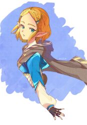 princess zelda from the legend of zelda