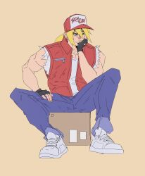 terry bogard from fatal fury