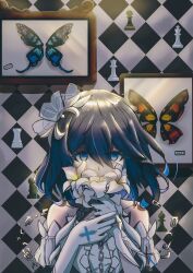 seele vollerei from honkai (series)