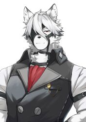 von lycaon from zenless zone zero by ioenami