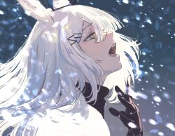 frostnova (arknights) from arknights