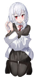 hakase fuyuki from nijisanji