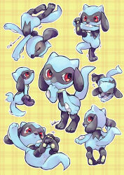 riolu from pokemon