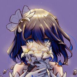 seele vollerei from honkai (series)