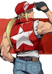terry bogard from fatal fury