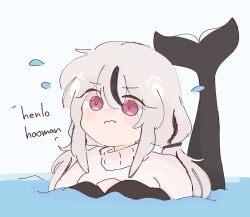 orca (chonkyorca) from original by chonkyorca