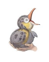 wattrel from pokemon