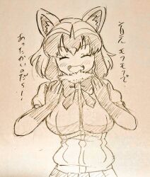 common raccoon (kemono friends) from kemono friends