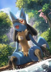 lucario from pokemon