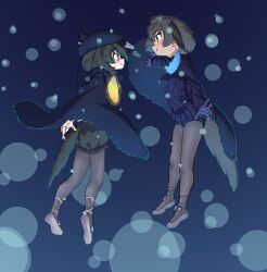 superb bird-of-paradise (kemono friends) from kemono friends