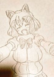 common raccoon (kemono friends) from kemono friends