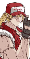 terry bogard from fatal fury