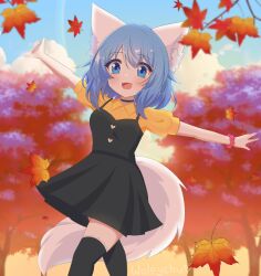 wolfychu fan art