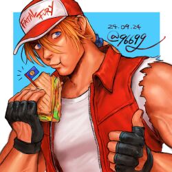 terry bogard from fatal fury by kurononekojyo