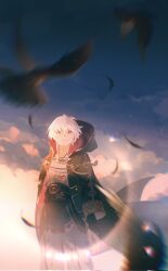 robin (fire emblem) from fire emblem