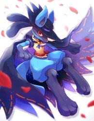 lucario from pokemon by shii (no-va could)
