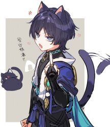 scaramouche (cat) (genshin impact) from genshin impact