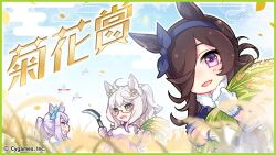 biwa hayahide (umamusume) from umamusume