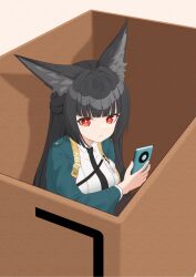 hoshimi miyabi from zenless zone zero