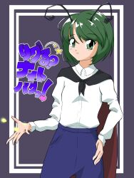 wriggle nightbug from touhou