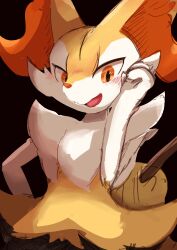 braixen from pokemon