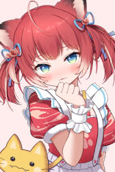 akami karubi from indie virtual youtuber