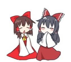hakurei reimu from cookie (touhou)