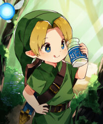 link from the legend of zelda