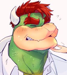 bowser from nintendo by yowasabimechaoc