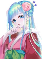 kouzuki hiyori from one piece