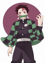 kamado tanjirou from kimetsu no yaiba