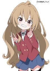 aisaka taiga from toradora!