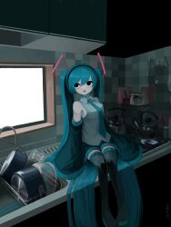hatsune miku from vocaloid