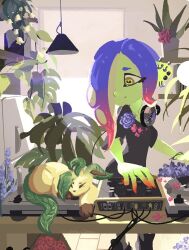 dedf1sh from pokemon