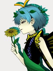eternity larva from touhou
